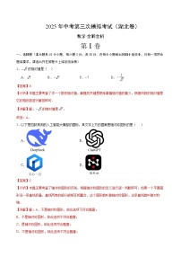 2025年中考数学第三次模拟考试卷：数学（湖北卷）（解析版）