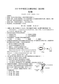 2025年中考数学第三次模拟考试卷：生物（湖北卷）（考试版）