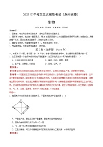 2025年中考数学第三次模拟考试卷：生物（湖南卷）（解析版）