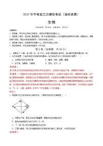 2025年中考数学第三次模拟考试卷：生物（湖南卷）（解析版）
