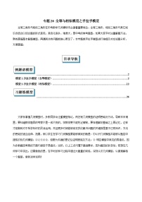 2025年中考数学专项复习专题20 全等与相似模型之手拉手模型解读与提分精练（全国通用）（原卷版）