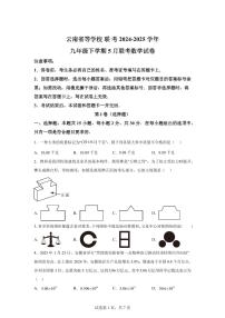 2024-2025学年云南省九年级下学期5月联考数学试卷