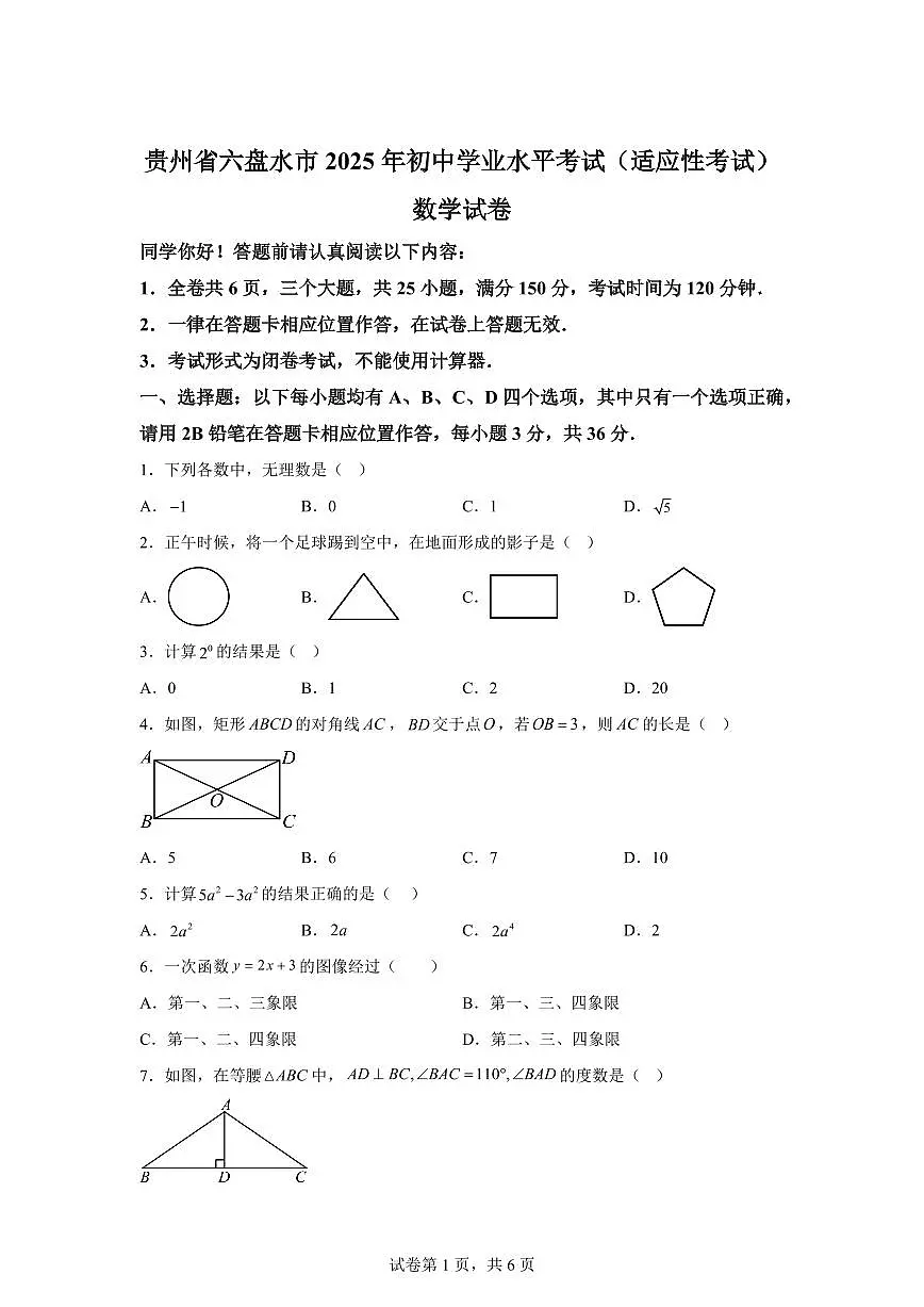 贵州省六盘水市2025届初中学业水平考试(适应性考试)数学试卷第1页