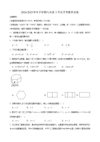 安徽省合肥市协力中学2024-2025学年下学期九年级5月份月考 数学试卷