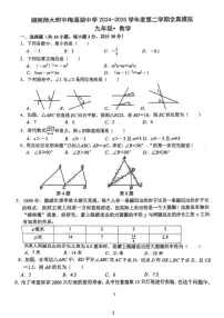 2025年湖南省长沙市湖南师大附中中考三模数学试题（中考模拟）