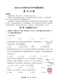 2025年山东省济南市天桥区中考三模数学试题（中考模拟）