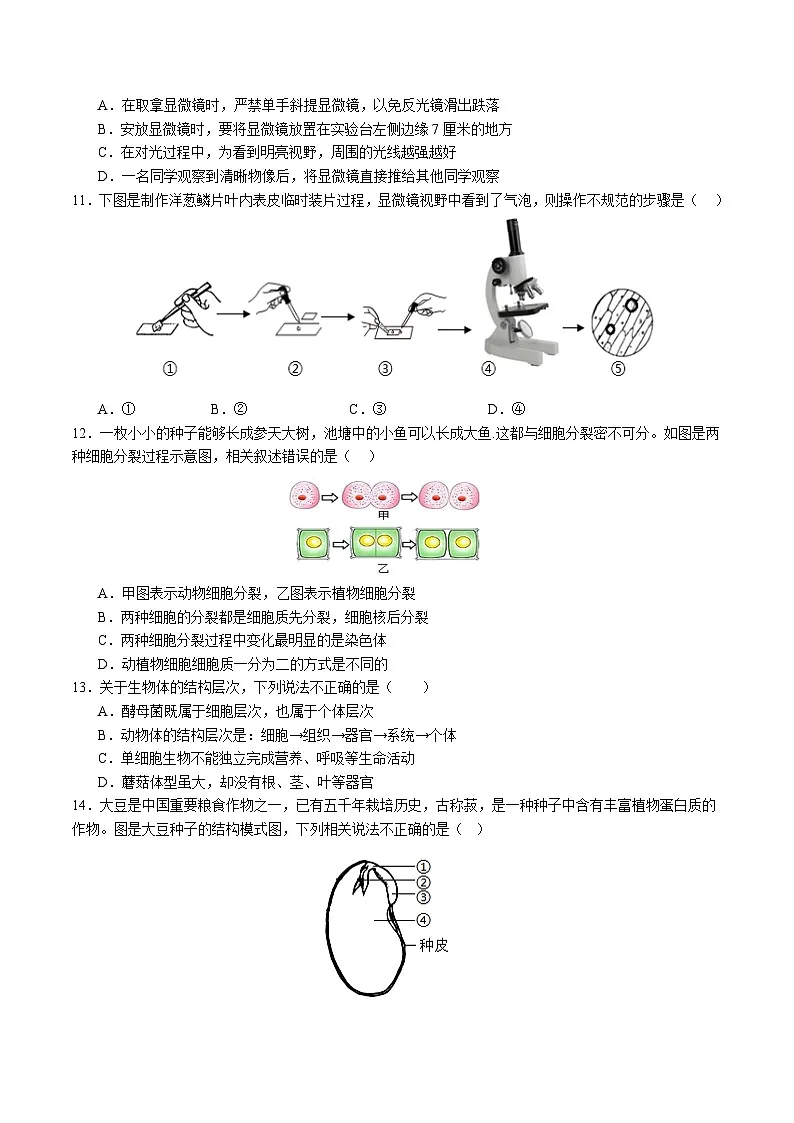 2025年中考数学第三次模拟考试卷:生物(青岛卷)(考试版)第3页