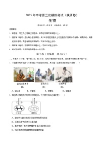 2025年中考数学第三次模拟考试卷：生物（陕西卷）（考试版）