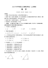 2025年中考数学第三次模拟考试卷：数学（上海卷）（考试版）