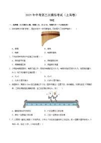 2025年中考数学第三次模拟考试卷：物理（上海卷）（考试版）