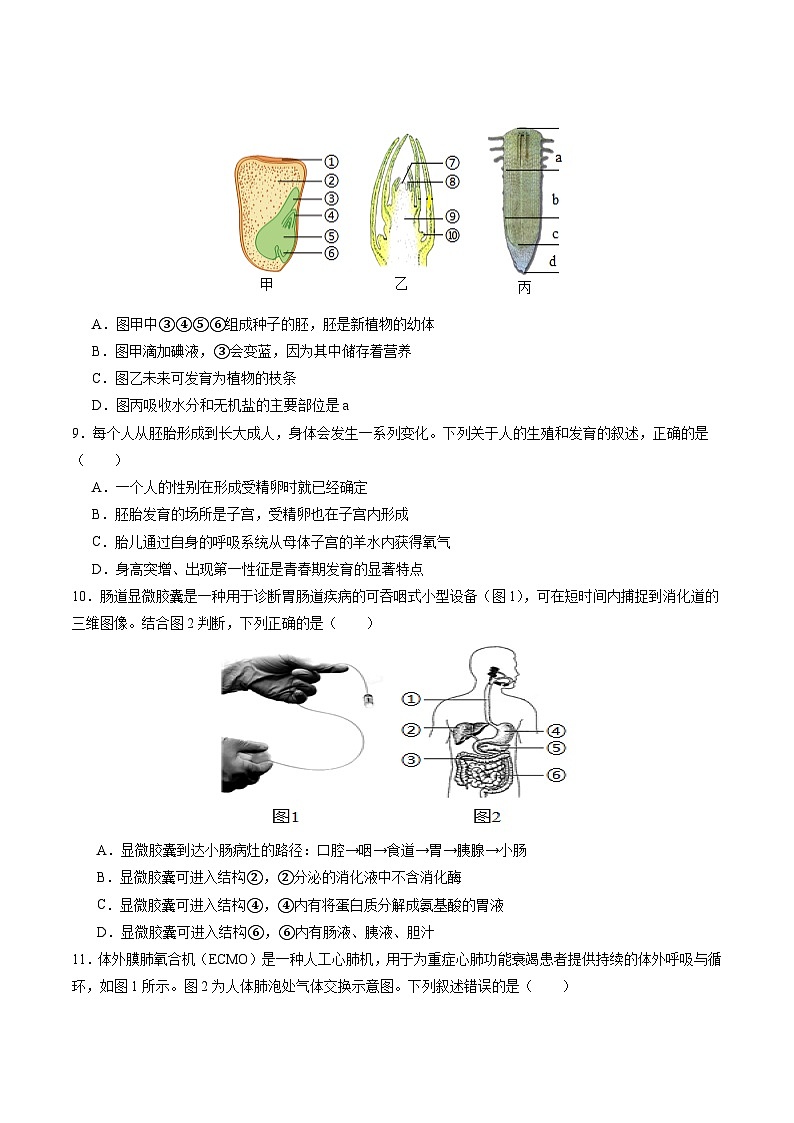 2025年中考数学第三次模拟考试卷:生物(深圳卷)(考试版)第3页