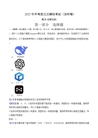 2025年中考数学第三次模拟考试卷：数学（深圳卷）（解析版）