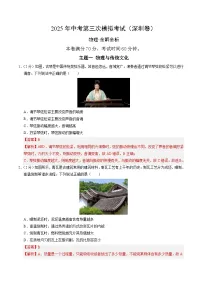 2025年中考数学第三次模拟考试卷:物理(深圳卷)(解析版)