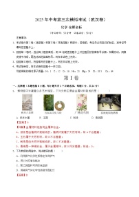 2025年中考数学第三次模拟考试卷：化学（武汉卷）（解析版）