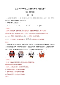 2025年中考数学第三次模拟考试卷：数学（武汉卷）（解析版）