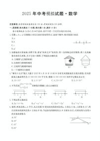 安徽芜湖市部分学校2025年6月中考模拟数学试卷（含答案）