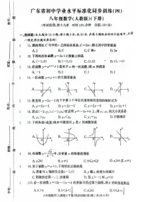 广东省惠州市惠阳区惠华学校2024-2025学年八年级下学期5月月考数学试题