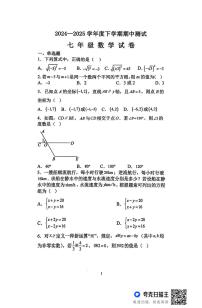 黑龙江省齐齐哈尔市依安县第三中学2024-2025学年七年级下学期5月期中数学试题