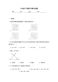 北师大版2024七年级下学期月考数学试题及答案1