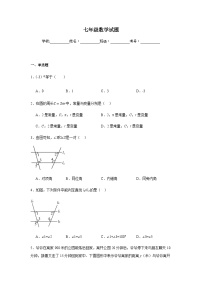 北师大版2024七年级下学期期中数学试题及答案4