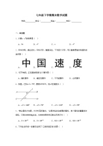 北师大版2024七年级下学期期末数学试题及答案3
