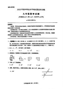 湖北省十堰市丹江口市2025年初中学业水平考试适应性训练数学试题（附参考答案）