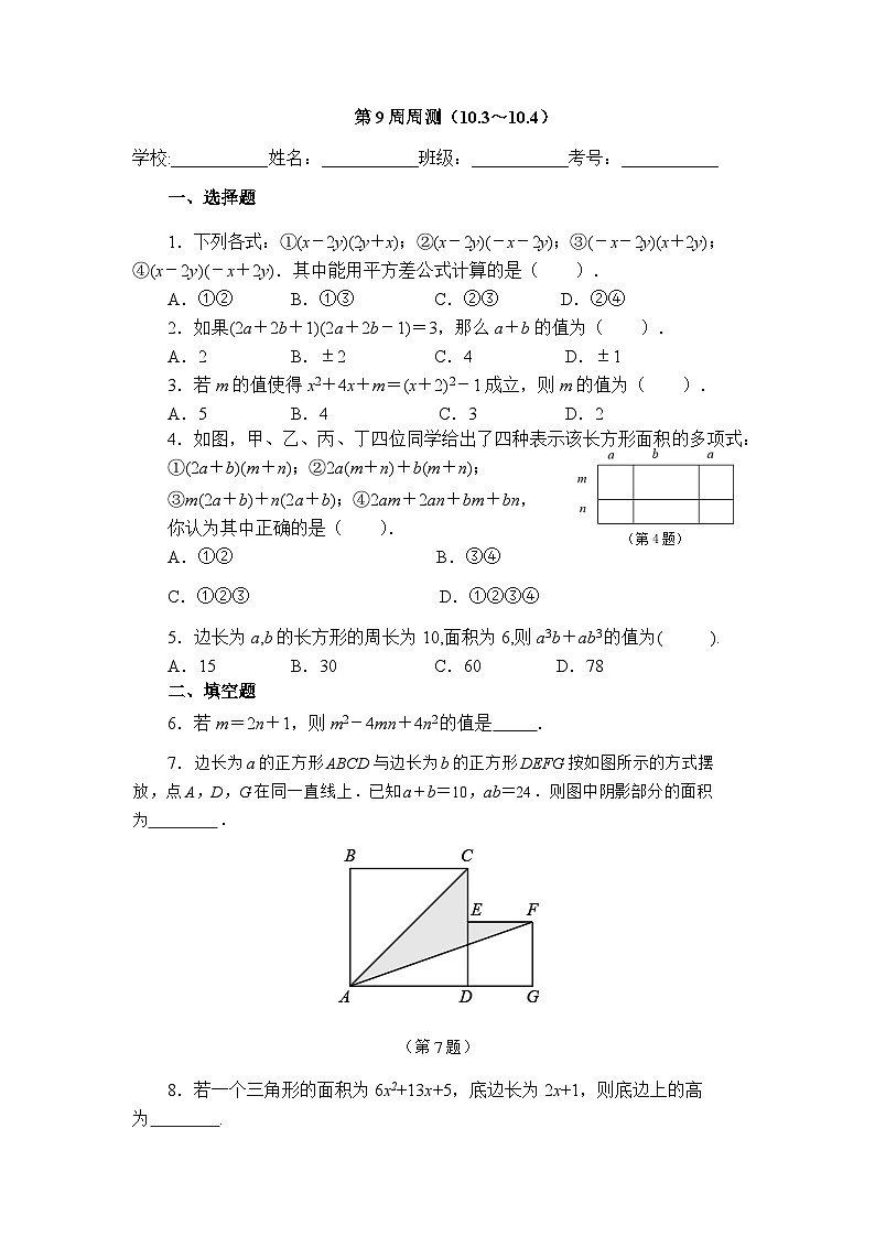 2025年青岛版数学七年级下册第9周周测(10.3~10.4)第1页