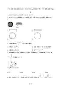 广东潮州湘桥区2024_2025学年九年级第二学期3月月考数学试卷[含答案]