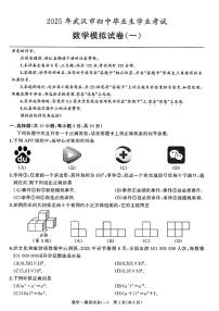 2025年湖北省武汉市中考数学模拟试卷（中考模拟）