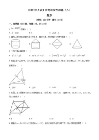 2025年陕西省西安国际港务区铁一中陆港初级中学中考适应性训练(八)数学试题(中考模拟)
