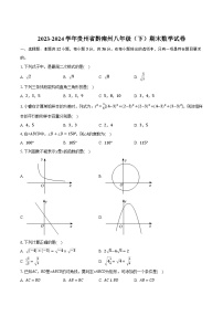 贵州省黔南布依族苗族自治州2023-2024学年八年级下学期期末考试数学试卷(含答案)