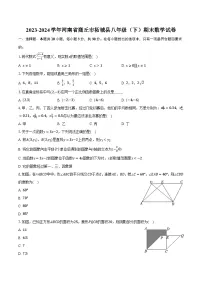 河南省商丘市柘城县2023-2024学年八年级下学期期末考试数学试卷(含答案)