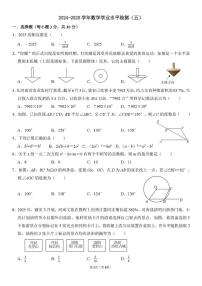 2025年河南省驻马店市实验中学九年级下学期第五次学情测评数学试题（中考模拟）