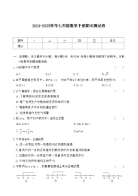 2024-2025学年人教版七年级数学下册期末测试卷(含答案)
