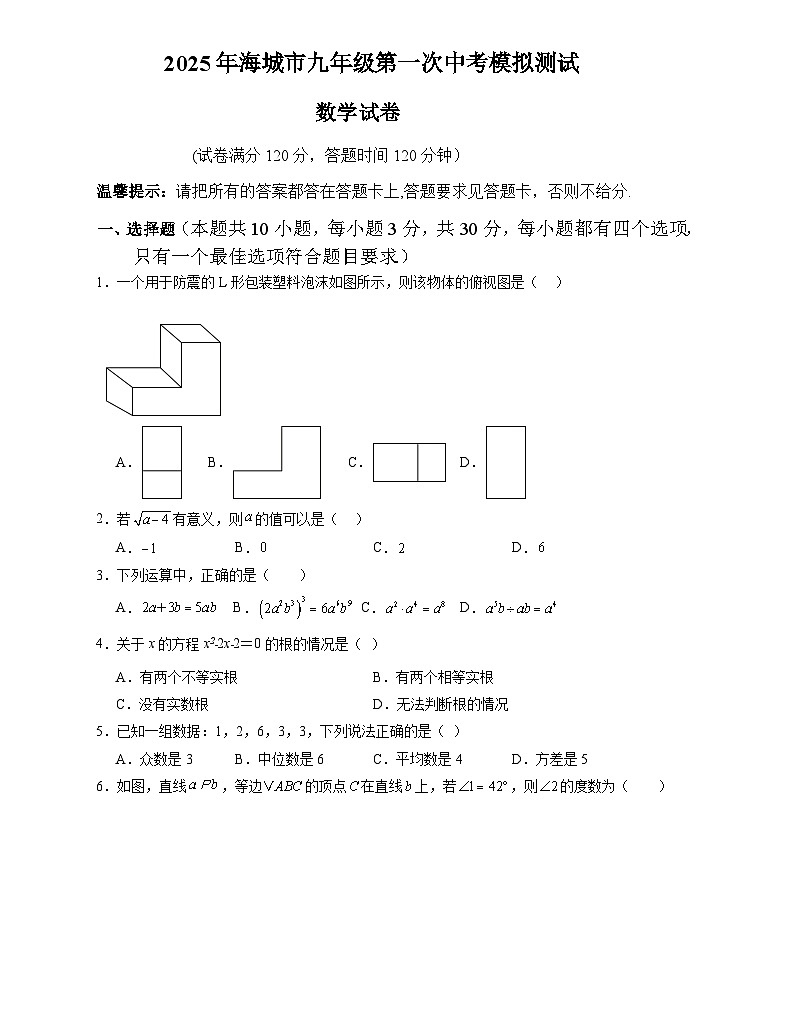 辽宁省鞍山市海城市2025届九年级下学期中考一模数学试卷(含答案)第1页