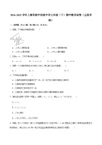 2024-2025学年上海市新中初级中学七年级(下)期中数学试卷(五四学制)(含解析)