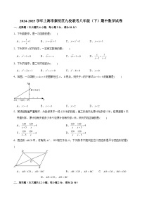 2024-2025学年上海市崇明区九校联考八年级（下）期中数学试卷（含解析）
