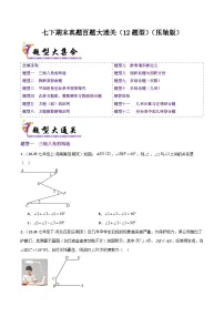 七下期末真题百题大通关（12题型）（压轴版）-2024-2025学年七年级数学下学期备战期末试题（含答案）（人教版2024）