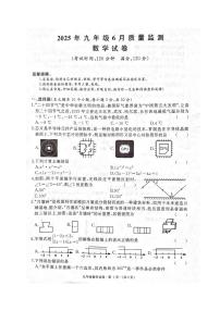 湖北省黄冈市部分学校2025年九年级6月质量检测数学试卷（附参考答案）