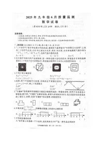 湖北省黄冈市部分学校2025年九年级6月质量检测数学试卷(附参考答案)