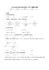四川省泸县第二中学2025届九年级下学期中考二模数学试卷(含解析)