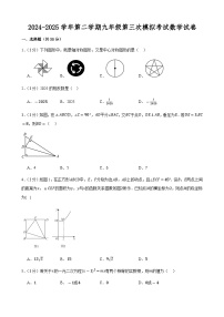 2025年甘肃省武威市凉州区武威三中联片教研中考三模数学试题（中考模拟）