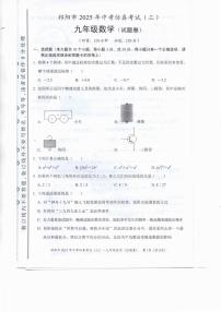 2025年湖南省祁阳市中考模拟数学仿真试卷（三）（中考模拟）