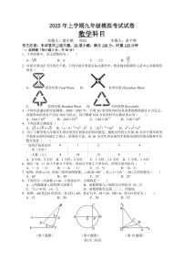 南雅2025年上学期九年级中考二模数学试卷及参考答案