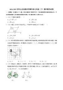 山东省滨州市博兴县2024-2025学年七年级下学期期中数学试卷