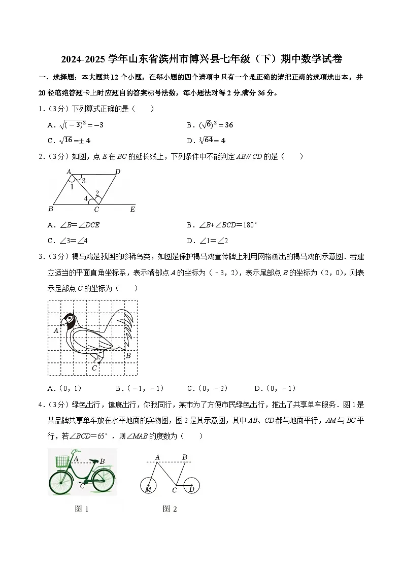 山东省滨州市博兴县2024-2025学年七年级下学期期中数学试卷第1页