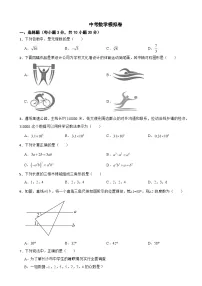 湖南省长沙市2025年中考数学模拟卷附答案