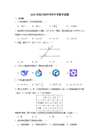 2025年四川省泸州市中考数学试题（含解析）
