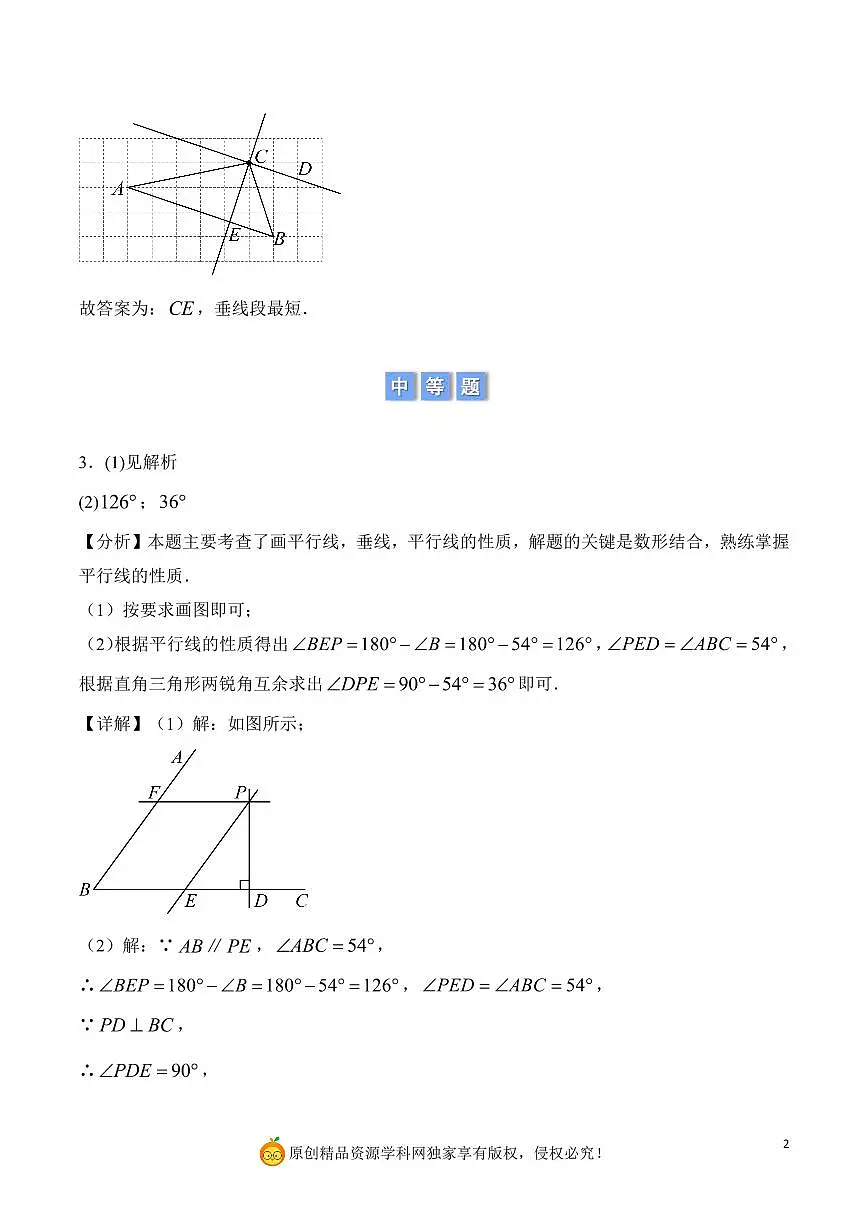 作图综合—作垂线、平行线(解析版)第2页
