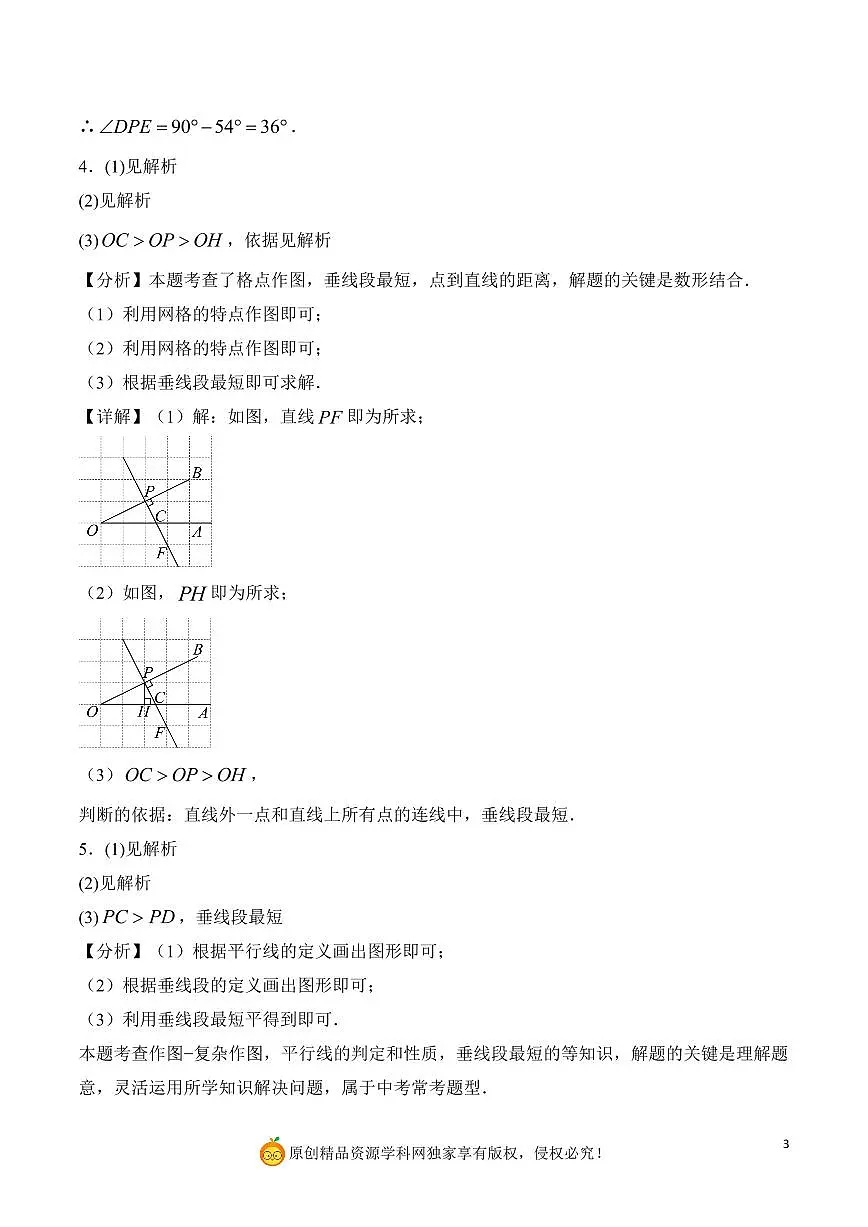 作图综合—作垂线、平行线(解析版)第3页